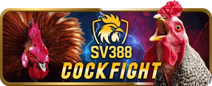 Trách nhiệm người chơi SV288 Win